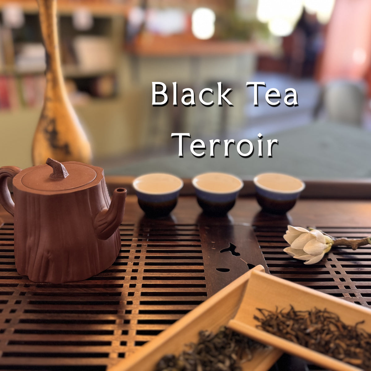 A wooden tea set arrangement on a slatted tea tray, including a brown ceramic teapot, three small tea cups, loose tea leaves in a bamboo tray, and a white flower, with the text 'Black Tea Terroir' overlaid in the center.