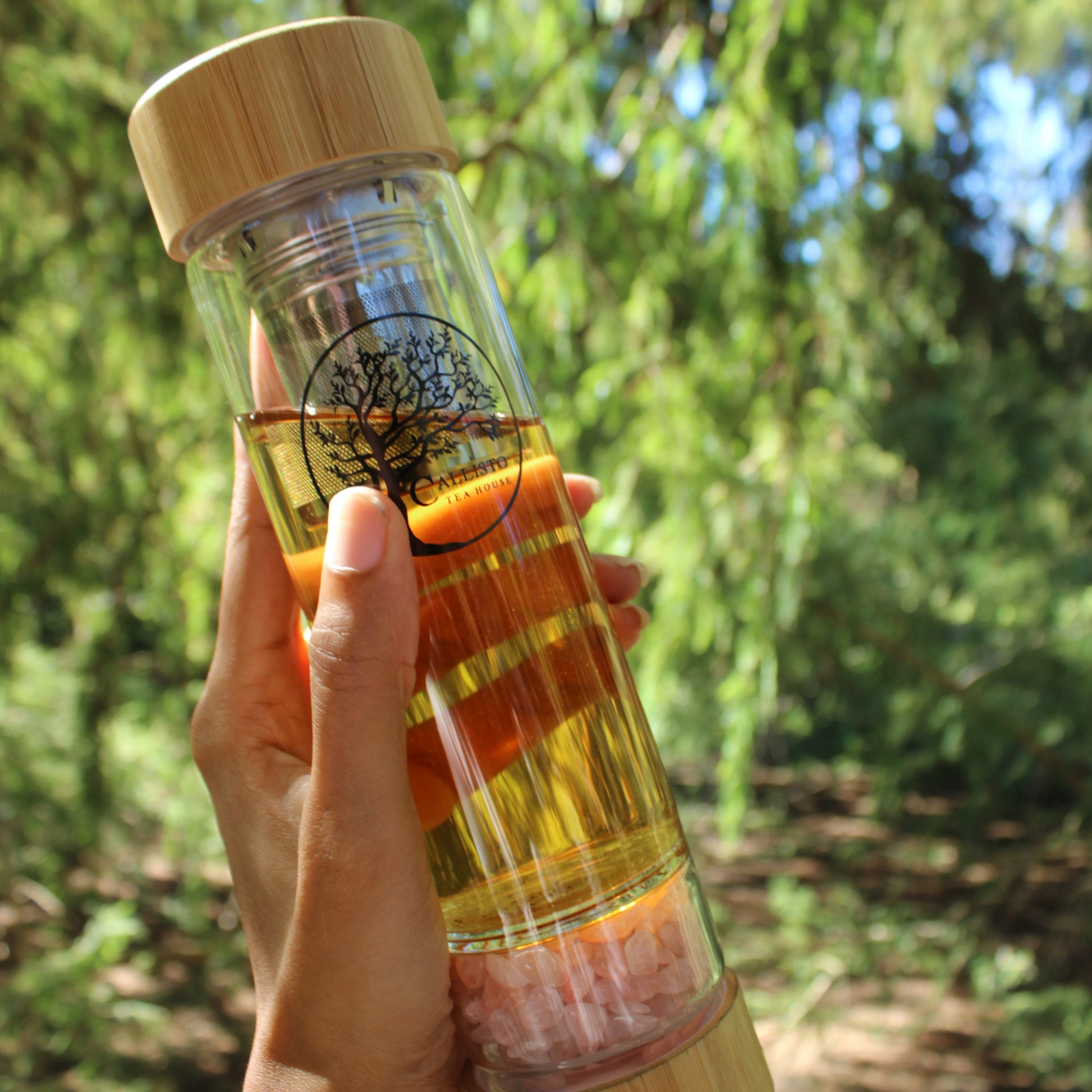 Crystal Infuser Water Bottle image 1