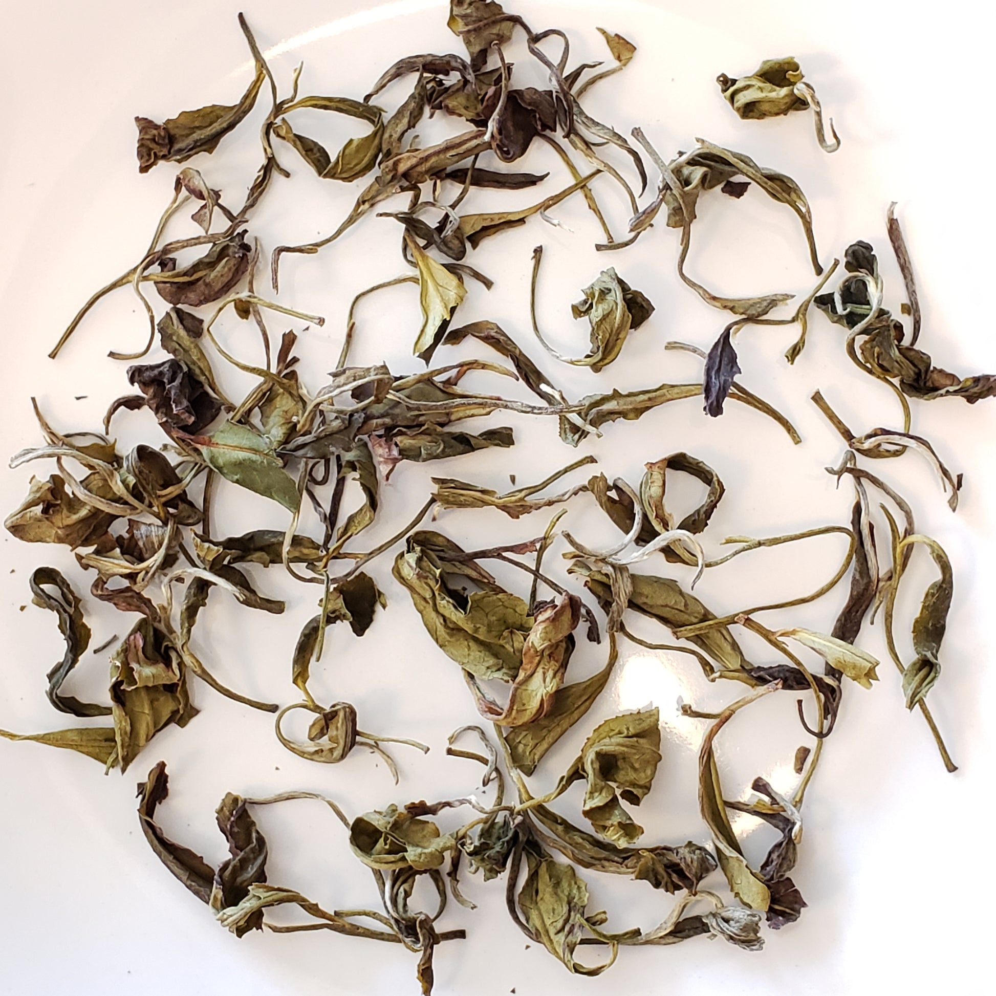 Drag King History Tea Taster Box image 7
