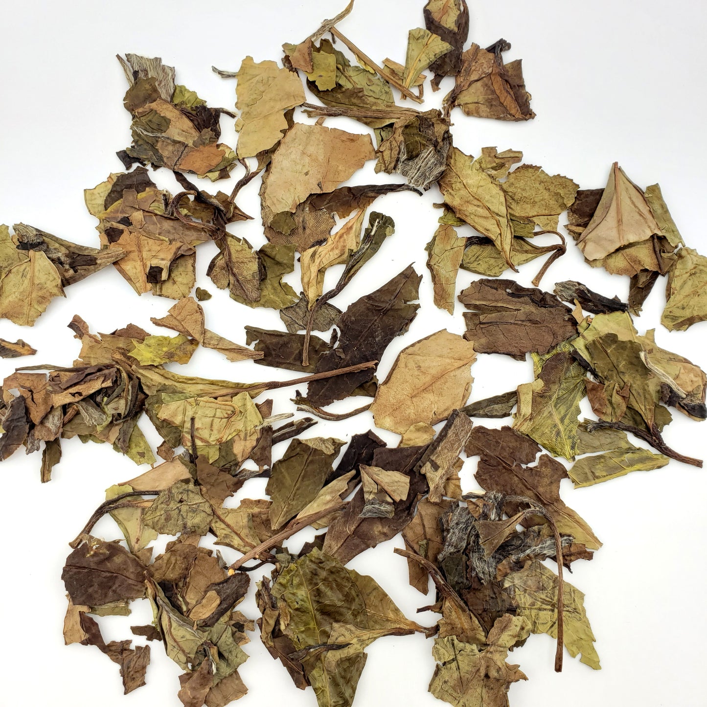 Dry tea leaves on a white background